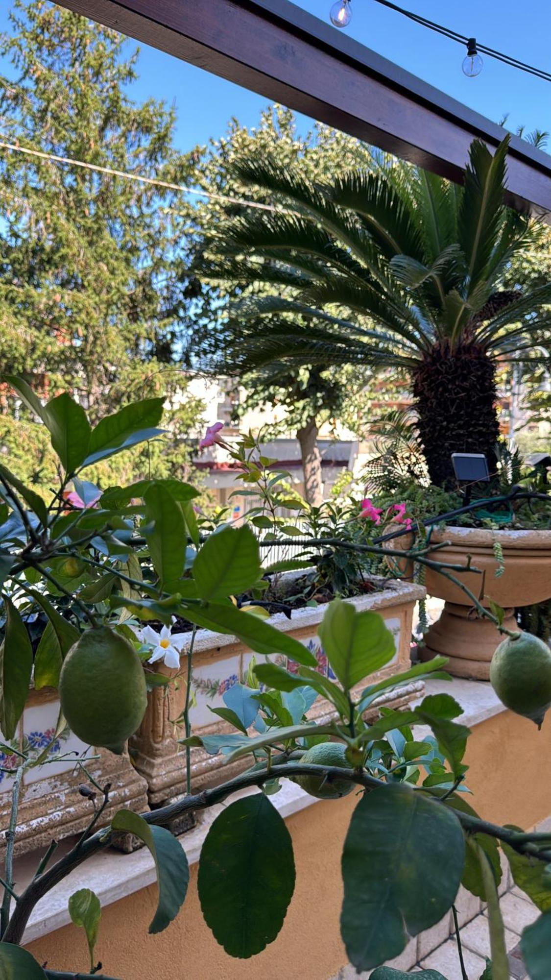 Bed and Breakfast Relais Sorrento Terrace And Relax Экстерьер фото